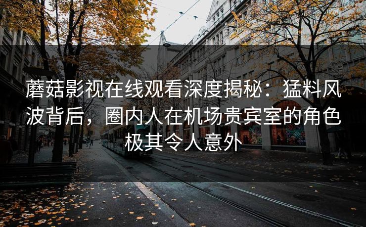 蘑菇影视在线观看深度揭秘：猛料风波背后，圈内人在机场贵宾室的角色极其令人意外