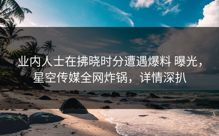 业内人士在拂晓时分遭遇爆料 曝光，星空传媒全网炸锅，详情深扒