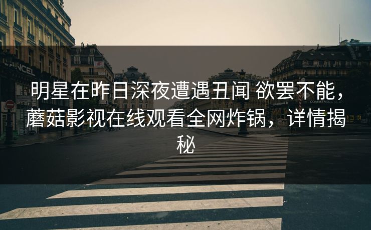 明星在昨日深夜遭遇丑闻 欲罢不能，蘑菇影视在线观看全网炸锅，详情揭秘