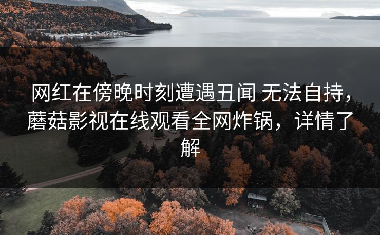 网红在傍晚时刻遭遇丑闻 无法自持，蘑菇影视在线观看全网炸锅，详情了解