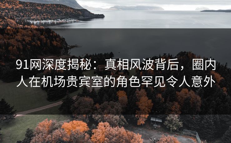91网深度揭秘：真相风波背后，圈内人在机场贵宾室的角色罕见令人意外