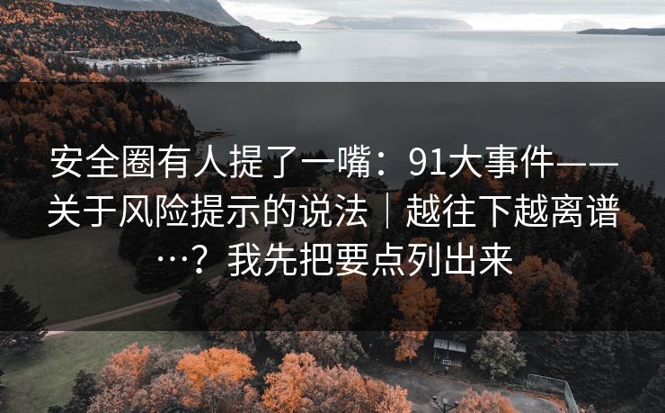 安全圈有人提了一嘴:91大事件——关于风险提示的说法|越往下越离谱…?我先把要点列出来 安全圈有人提了一嘴:91大事件——关于风险提示的说法|越往下越离谱…?我先把要点列出来